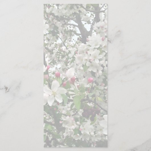 Apple Tree in Bloom Wedding Menu (Achterkant)