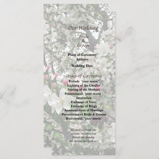 Apple Tree in Bloom Wedding Program Programmakaart (Voorkant / Achterkant)