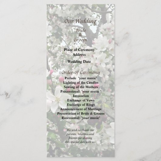 Apple Tree in Bloom Wedding Program Programmakaart (Voorkant)