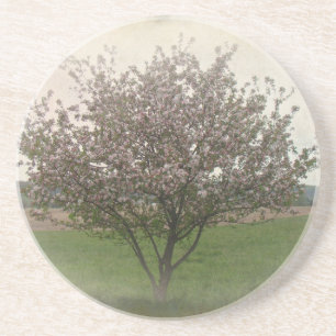 Apple Tree in Bloom Zandsteen Onderzetter
