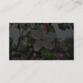 Apple Tree in Blossom Visitekaartje (Achterkant)