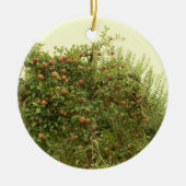 Apple Tree Keramisch Ornament (Voorkant)