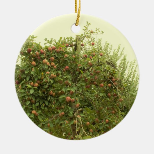 Apple Tree Keramisch Ornament (Voorkant)