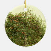 Apple Tree Keramisch Ornament (Achterkant)