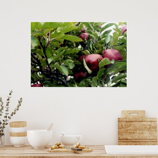Apple Tree l Poster (Keuken)