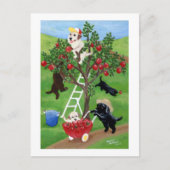 Apple Tree Labradors Briefkaart (Voorkant)
