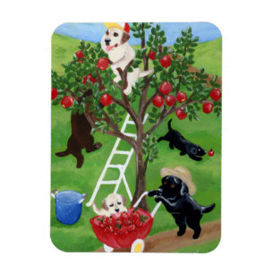 Apple Tree Labradors Magneet