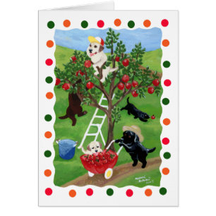 Apple Tree Labradors (punt)