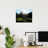 Apple Tree, Maine Poster (Thuiskantoor)