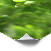 Apple Tree Perfect Poster (Hoek)