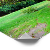 Apple Tree Poster (Hoek)