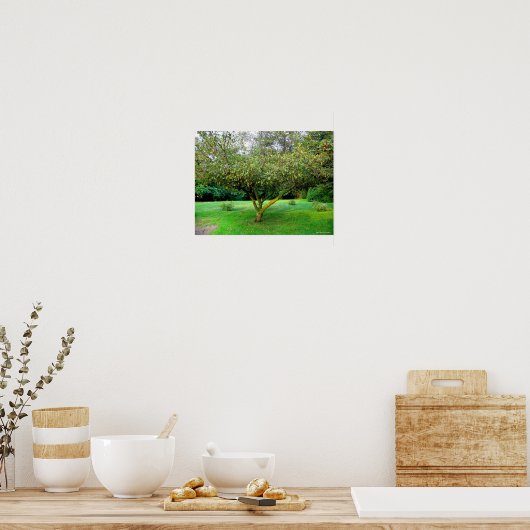 Apple Tree Poster (Keuken)