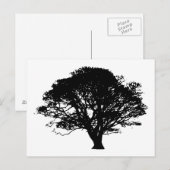 Apple Tree Silhouette Briefkaart (Voorkant / Achterkant)
