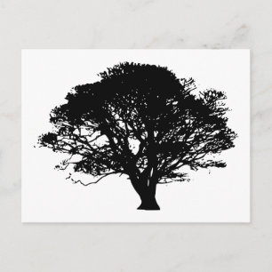 Apple Tree Silhouette Briefkaart