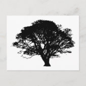 Apple Tree Silhouette Briefkaart (Voorkant)