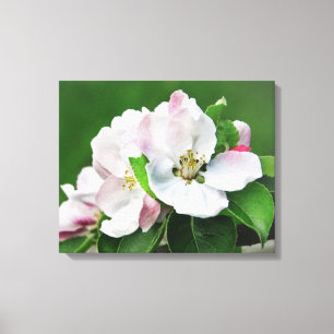 Apple Tree Spring Canvas Wall Art blokkeren Afdruk