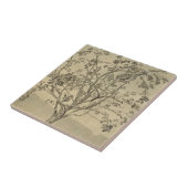 Apple Tree (Waterverf kunst) (van Nicholas Roerich Tegeltje (Zijkant)