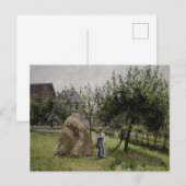 Apple Trees in Eragny | Sunny Morning Briefkaart (Voorkant / Achterkant)