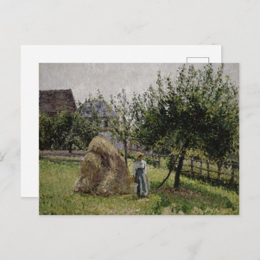 Apple Trees in Eragny | Sunny Morning Briefkaart (Voorkant / Achterkant)