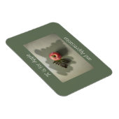 Apple voor lerarenwaardering  Groen Magneet (Rechterzijde)