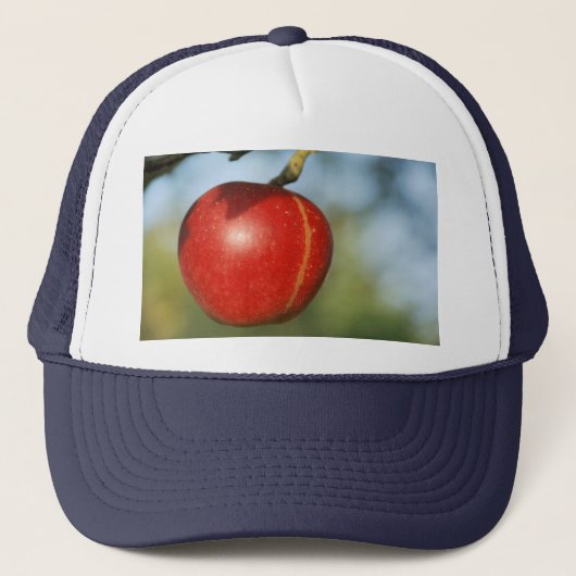 Apple vrachtwagenhoed trucker pet (Voorkant)