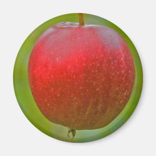 Apple Zomerrood Magneet (Voorkant)