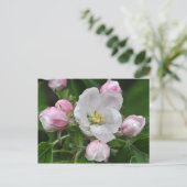 Applebloem in de regen briefkaart (Staand voorkant)