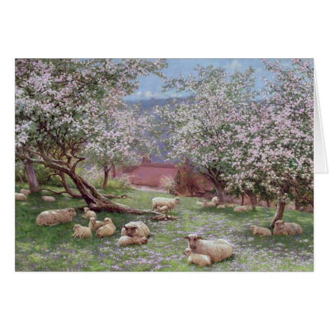 Appleblossom (Voorkant Horizontaal)