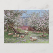 Appleblossom Briefkaart (Voorkant)