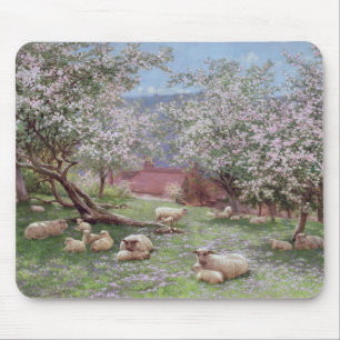 Appleblossom Muismat