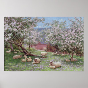 Appleblossom Poster