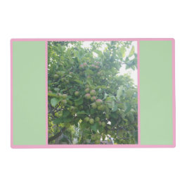 Apples A-Go-Go Gelamineerde Placemat