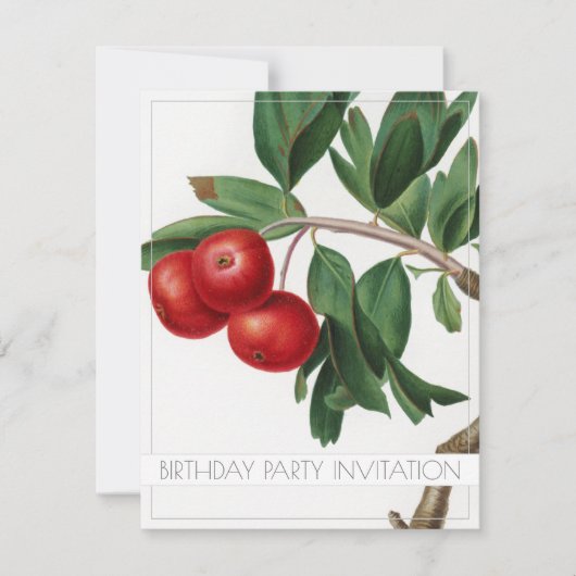 APPLES BIRTHDAY PARTY INVITATION FLAT KAART (Voorkant)