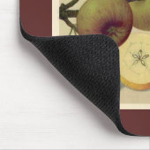 Apples Botanische  Duitse illustratie Muismat (Hoek)