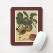 Apples Botanische  Duitse illustratie Muismat (Met muis)
