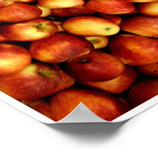 Apples by Johannes Stötter Poster (Hoek)