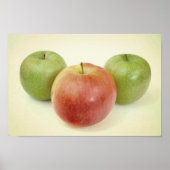 Apples Fruit Photo Poster (Voorkant)