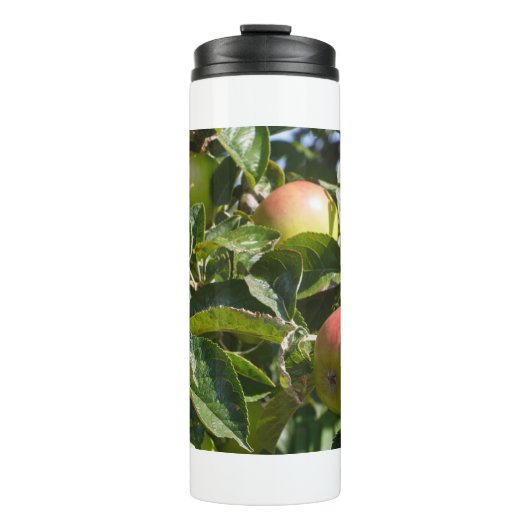 Apples ripening on an apple tree thermosbeker (Voorkant)