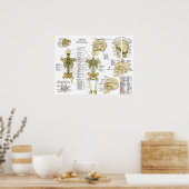 Applied Kinesiology Chiropractic Poster (Keuken)