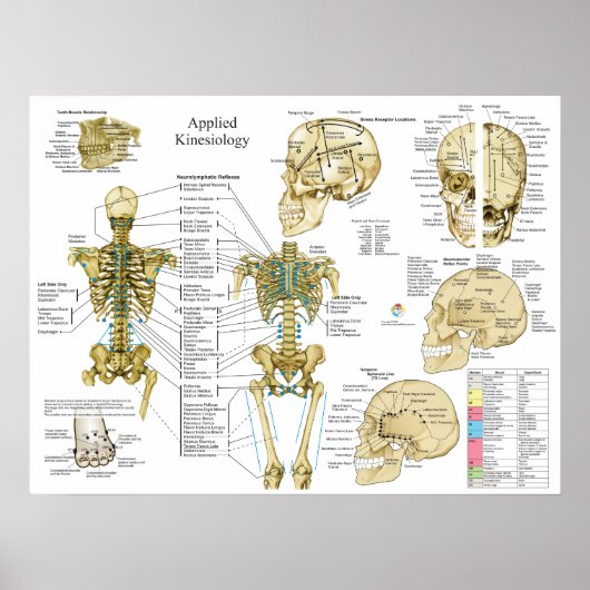 Applied Kinesiology Chiropractic Poster (Voorkant)