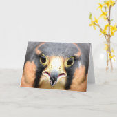 Applomado Falcon foto Kaart (Gele Bloem)
