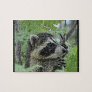 Apprehensive Raccoon - Jigzaag Puzzle Legpuzzel