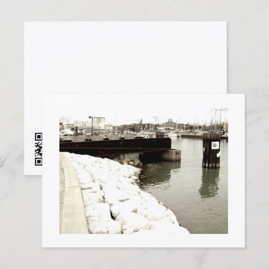 Approachable Wolf Post Card Print Briefkaart (Voorkant / Achterkant)