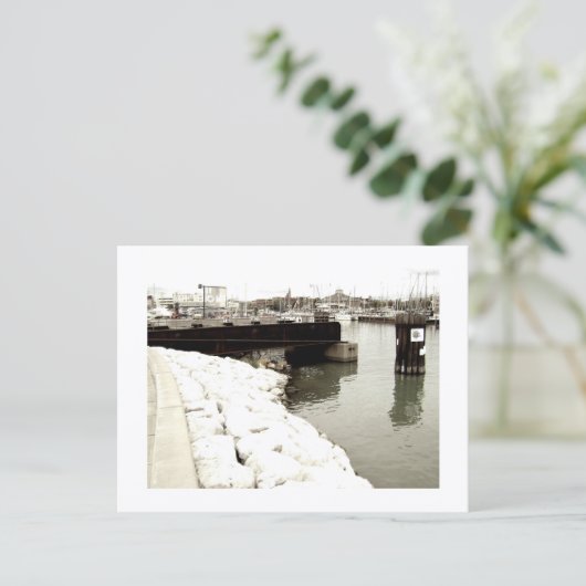 Approachable Wolf Post Card Print Briefkaart (Staand voorkant)