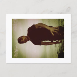 Approachable Wolf Post Card Print Briefkaart