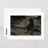 Approachable Wolf Post Card Print Briefkaart (Voorkant / Achterkant)