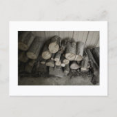 Approachable Wolf Post Card Print Briefkaart (Voorkant)