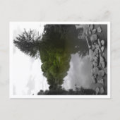 Approachable Wolf Post Card Print Briefkaart (Voorkant)