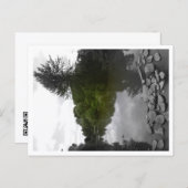 Approachable Wolf Post Card Print Briefkaart (Voorkant / Achterkant)