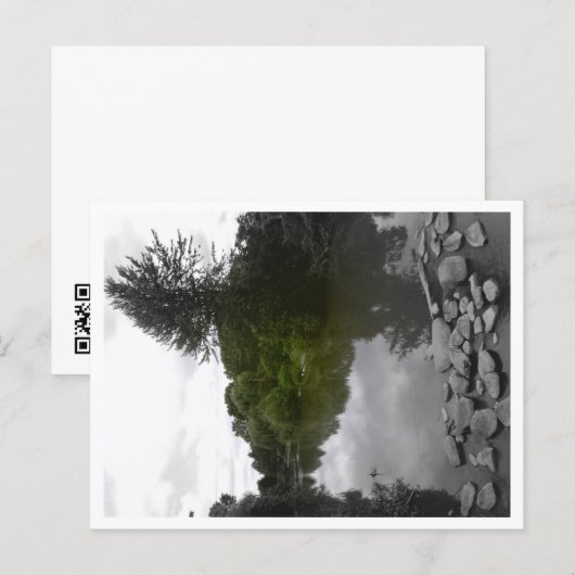 Approachable Wolf Post Card Print Briefkaart (Voorkant / Achterkant)